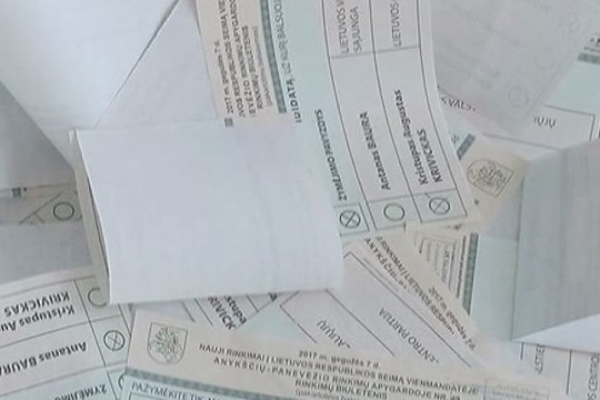 Rinkimai į Gretos Kildišienės vietą seime vyksta vangiai