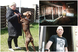 Po vaiko žūties šuns nasruose – netikėtumas