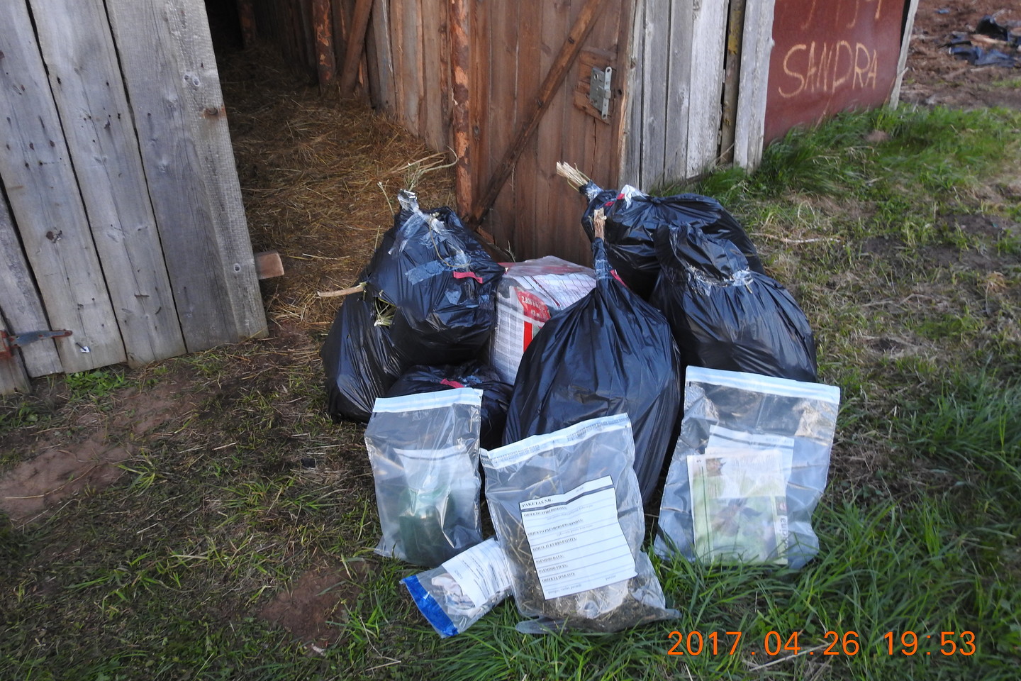 Šilutės r. dėl kanapių įkliuvo trys įtariamieji, pas juos rasta apie 5 kg kvaišalų.