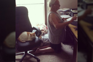 Iki skausmo juokingos nuotraukos atskleidžia, ką reiškia gyventi su katėmis