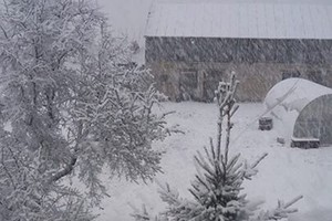 Likus 3 savaitėms iki vasaros arktinis šaltis į Lietuvą atnešė staigmenų