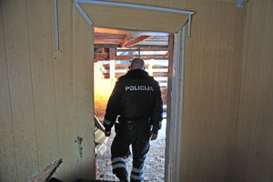 Čigonė narkomanams pardavinėjo karfentanilį – raminamuosius drambliams