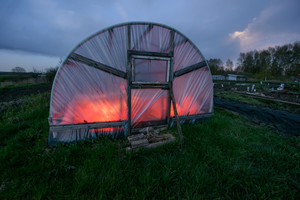 Ridikėlius ir agurkus šildo kapų žvakės
