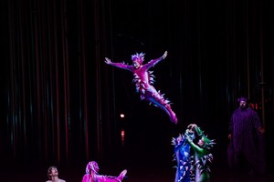Derybos sėkmingos: skelbiamas papildomas „Cirque du Soleil“ spektaklio „Varekai“ seansas