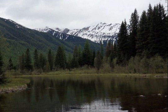 Gamtoje pasimetusi žygeivė su šunimi šešias dienas klajojo be maisto