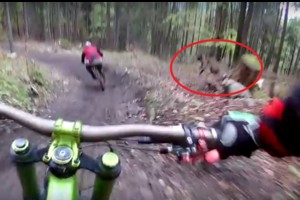 Ant dviratininko prikabinta kamera miške užfiksavo šokiruojantį susidūrimą