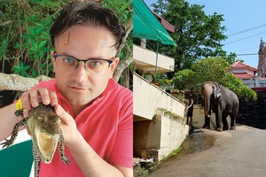 Edvardo Žičkaus įspūdžiai iš Azijos: „Ir žavėjo, ir trikdė“