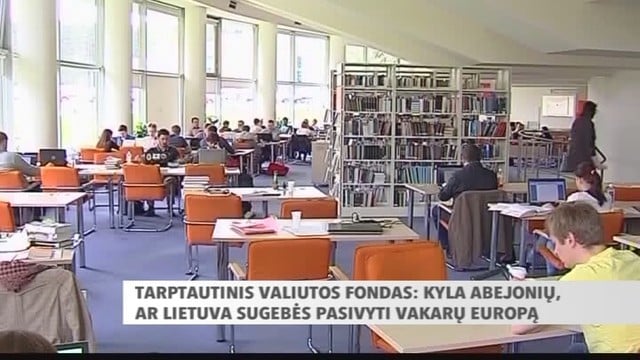 TVF sako, kad Lietuvos ekonomikoje įžvelgia didelių trūkumų
