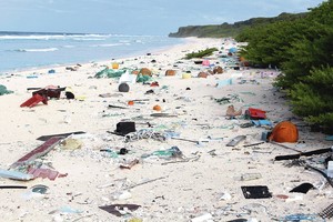 Negyvenamoje saloje mokslininkai aptiko sąvartyną