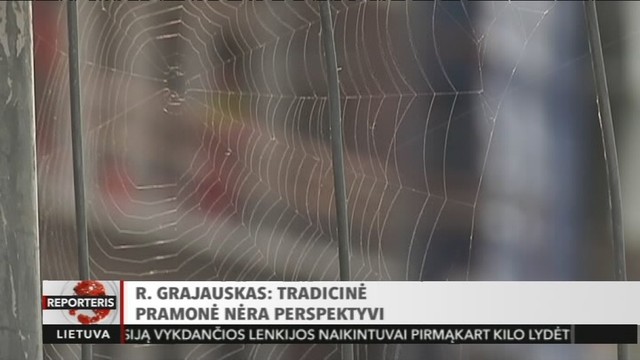 Rokas Grajauskas: tradicinė pramonė nėra perspektyvi