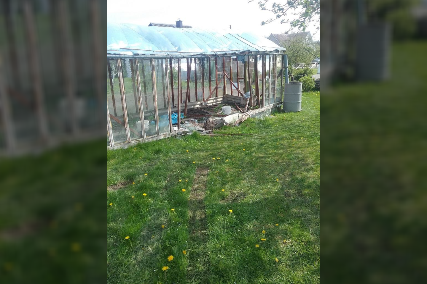 Telšiuose ieškoma šiltnamį suniokojusio ir pasprukusio vairuotojo.