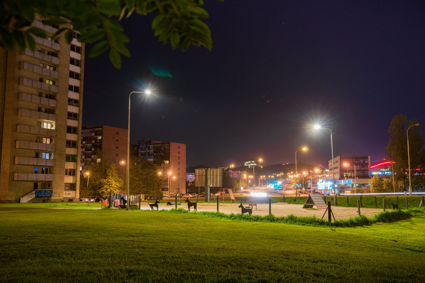 Vilniuje apšviesta šunų vedžiojimo aikštelė.<br> V. Kavaliausko nuotr.