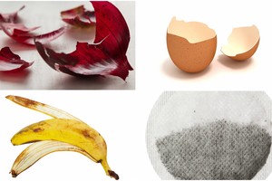 Neapsirikite: labai svarbu, ką ir kuo tręšti savame darže