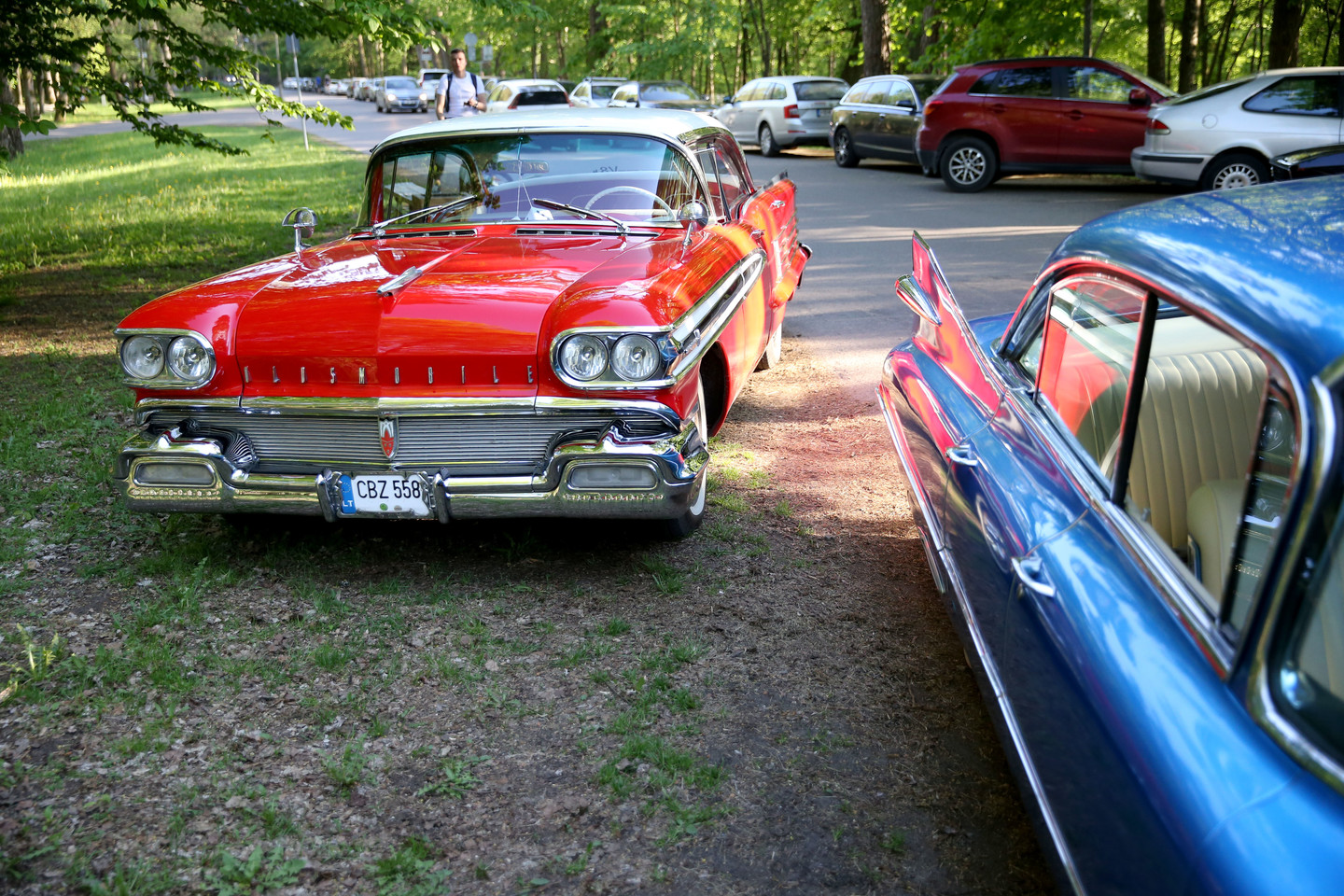 Vingio parką papuošė įspūdingi amerikietiški automobiliai.<br> R.Danisevičiaus nuotr.