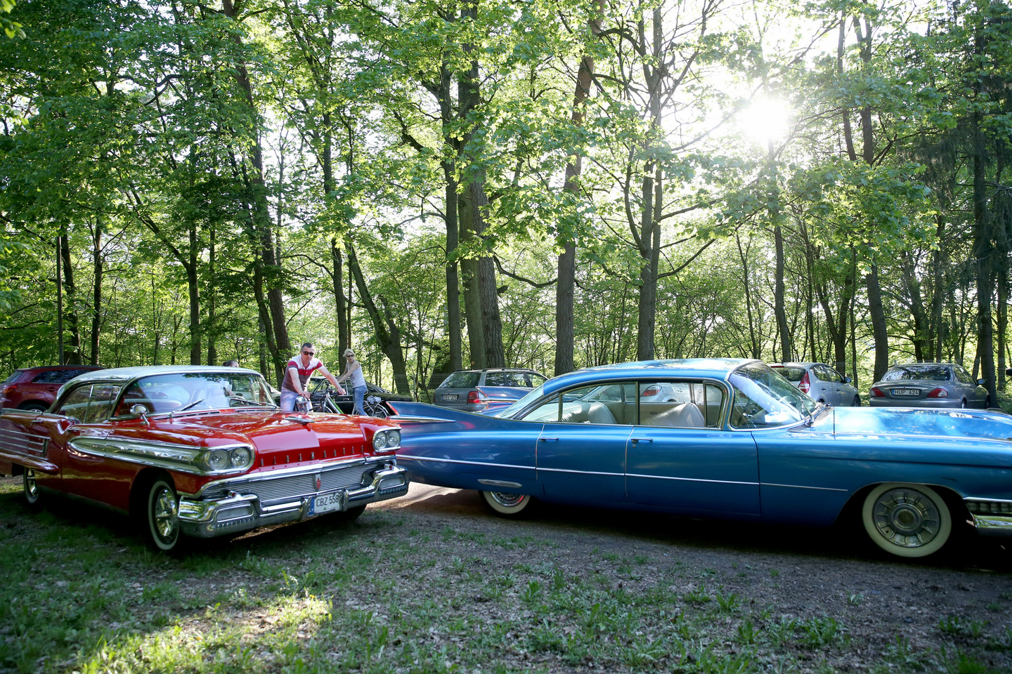 Vingio parką papuošė įspūdingi amerikietiški automobiliai.<br> R.Danisevičiaus nuotr.