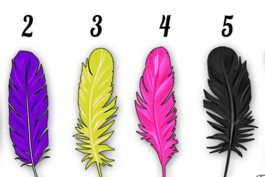 Išsirinkite plunksną ir apie save sužinosite tai, ko nežinojote 
