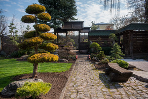 Dzūkas  savo sode kuria stebuklus,  ten apsilankę žmonės tiesiog praranda amą