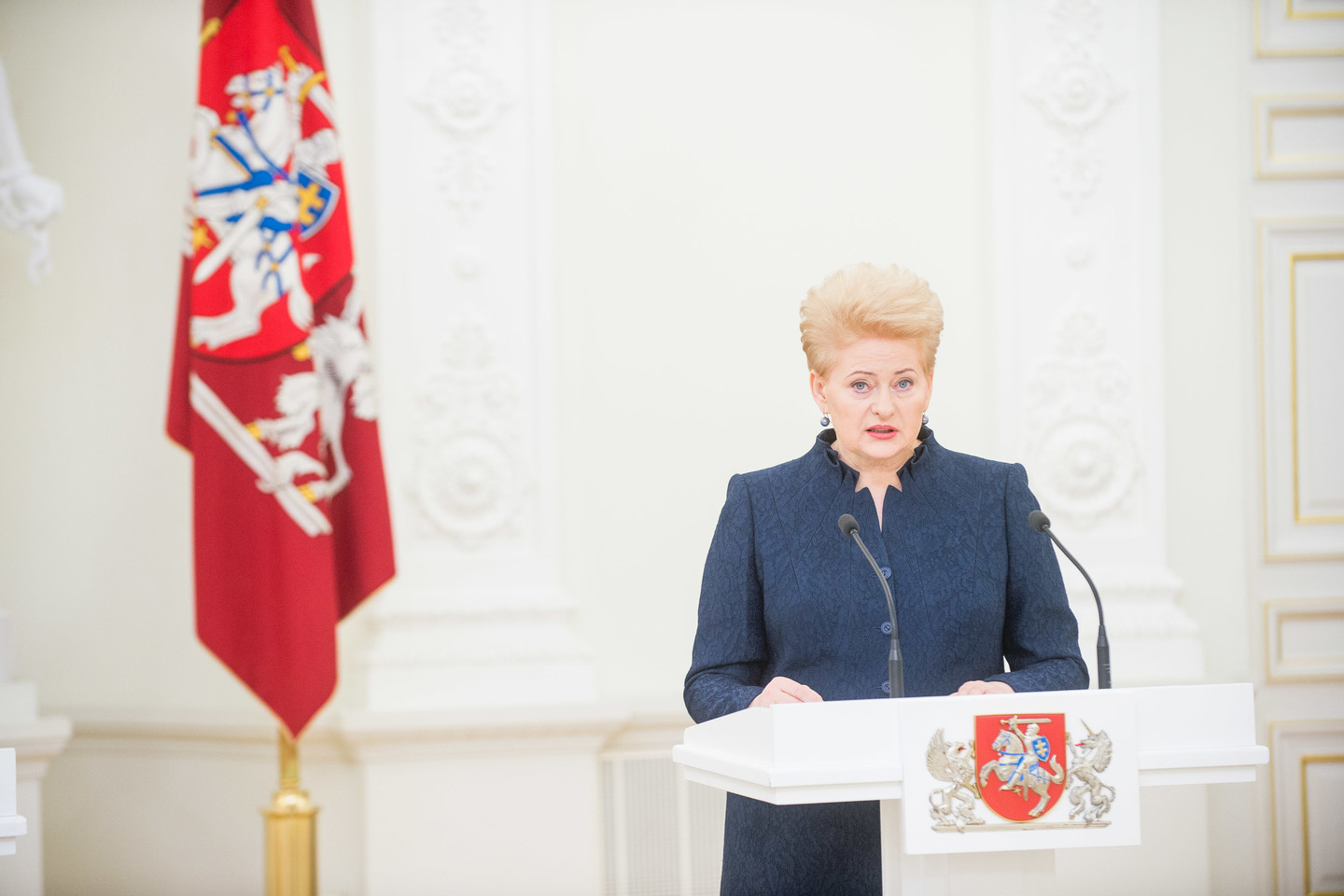 D.Grybauskaitė valdančiuosius ragino prisiimti daugiau atsakomybės.