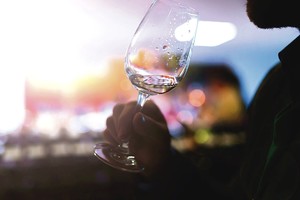 Seime su vynu įkliuvo diplomatas iš Afrikos