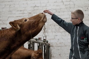 Keturkojai limuzinai aplaižo visus, tad ko veržtis į tokią keistą vietą?