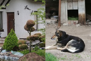Su Karmėlavos monstru gyvenusi trijų vaikų mama atvėrė širdį 