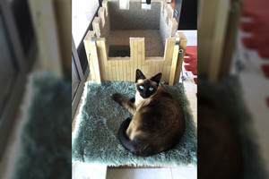 Pamatykite, kokią pilį vyras pastatė savo katei. Ji atrodo nuostabiai