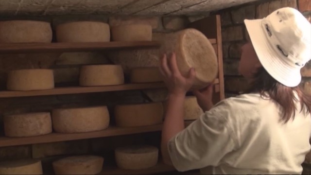 Lietuvos kaime pagaminti sūriai pranoksta net prancūziškus