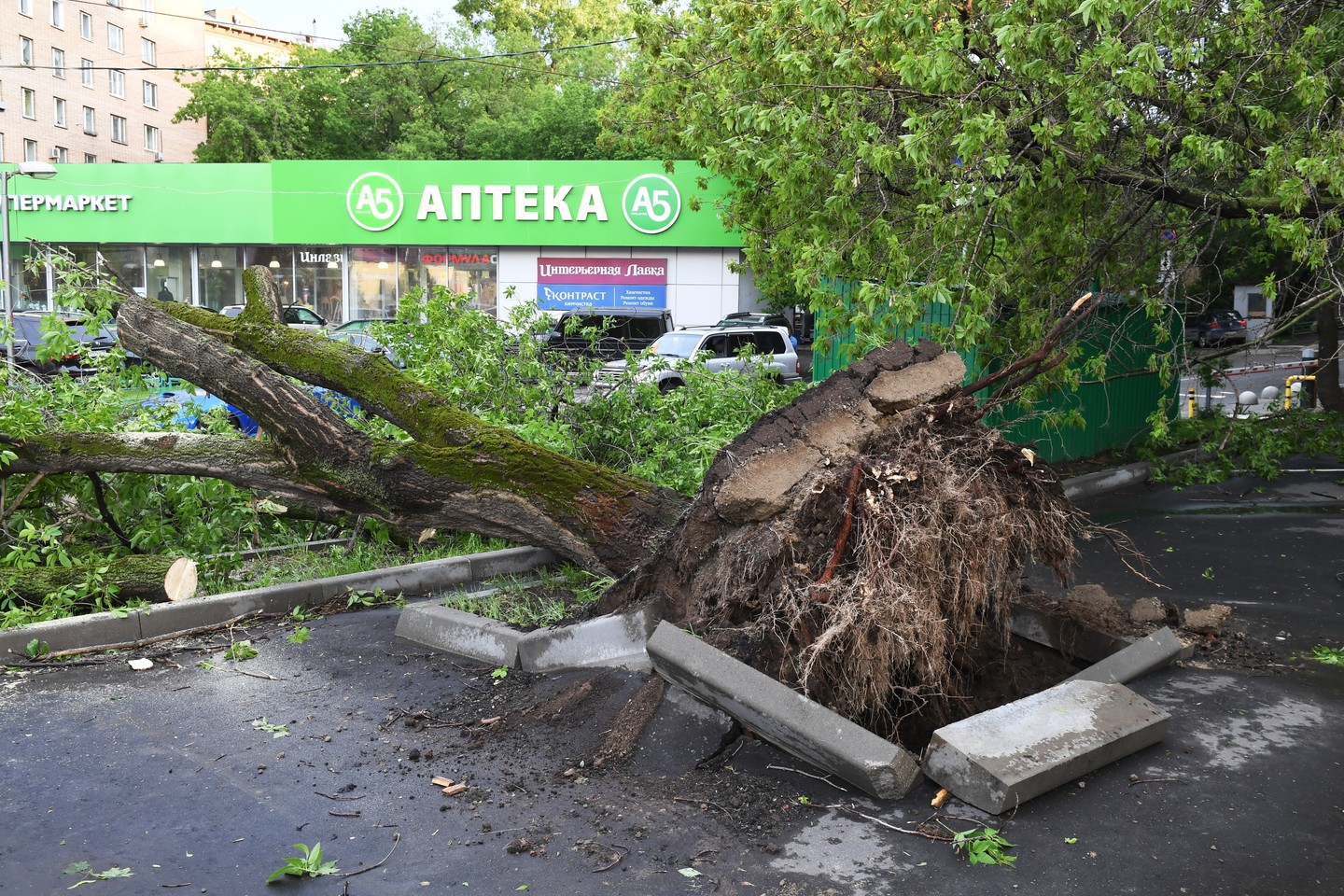 Maskvą nusiaubė baisi audra.<br> „Sputnik“/„Scanpix“ nuotr.