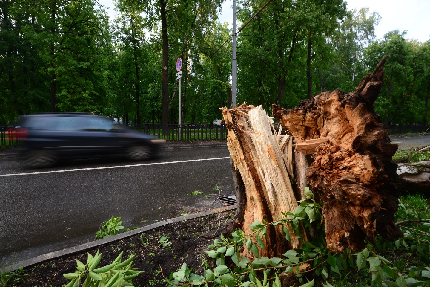 Maskvą nusiaubė baisi audra.<br> „Sputnik“/„Scanpix“ nuotr.