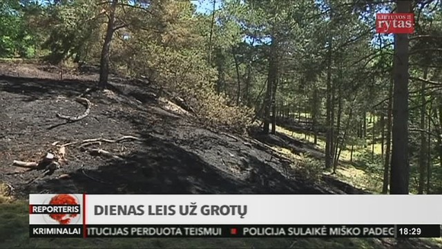 Miško padegėjas dienas leis už grotų