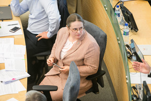 Dėl Agnės Širinskienės triukų su Seimo narių kortelėmis kalti žurnalistai?