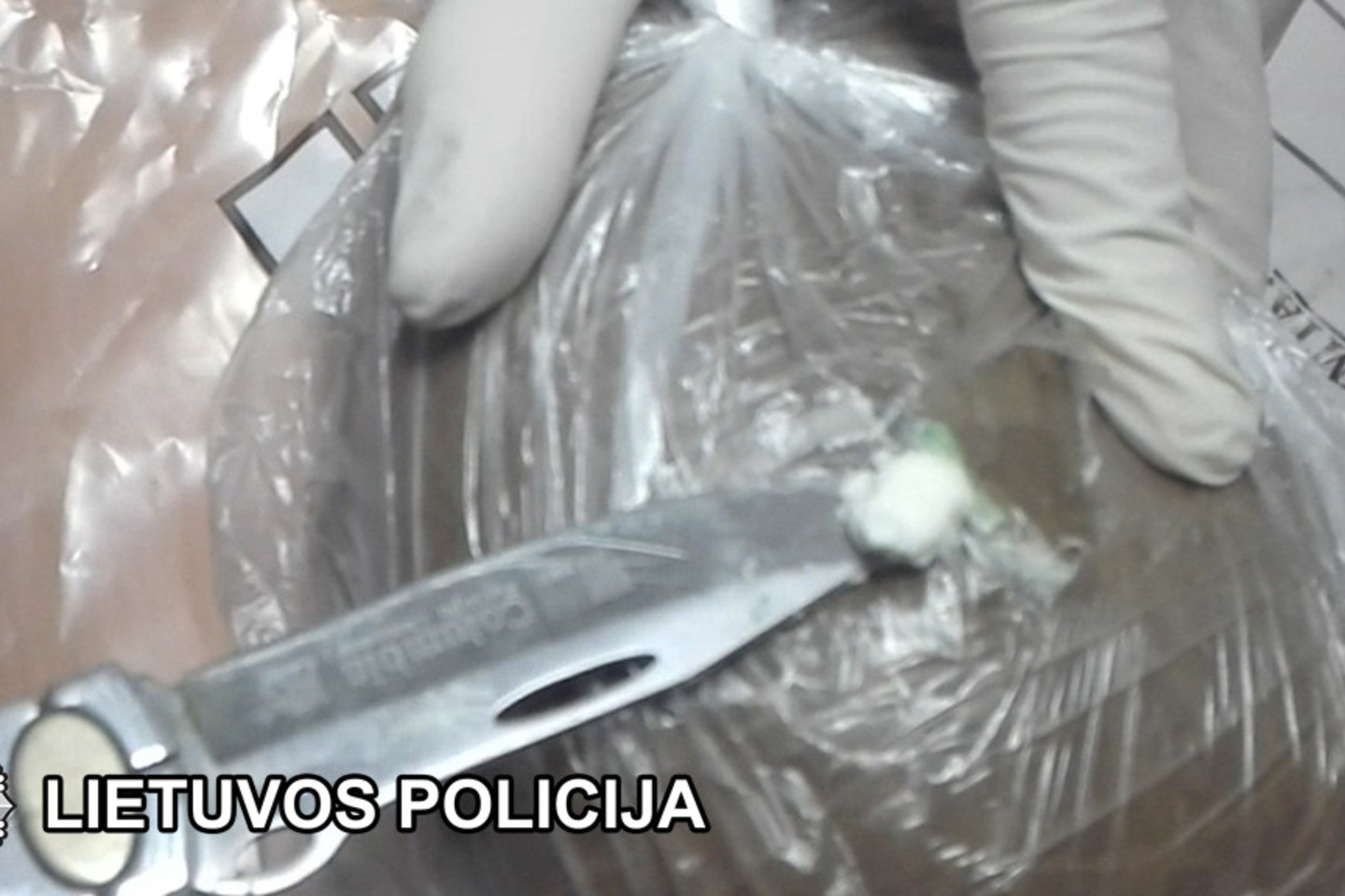 Klaipėdos policija paskaičiavo sulaikytus bėglius.