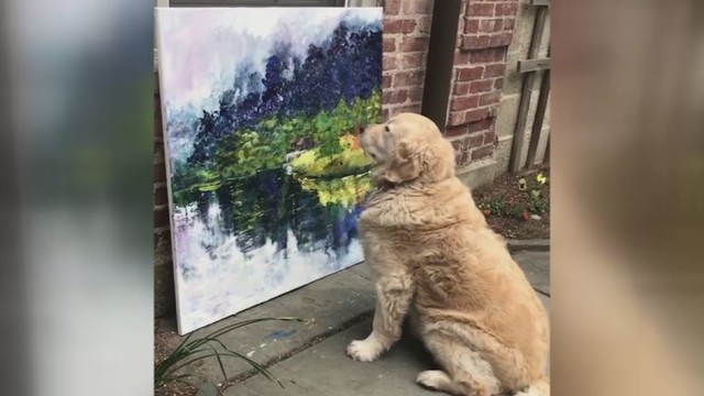 Moterį nustebino neįprastas jos šuns elgesys pamačius paveikslą