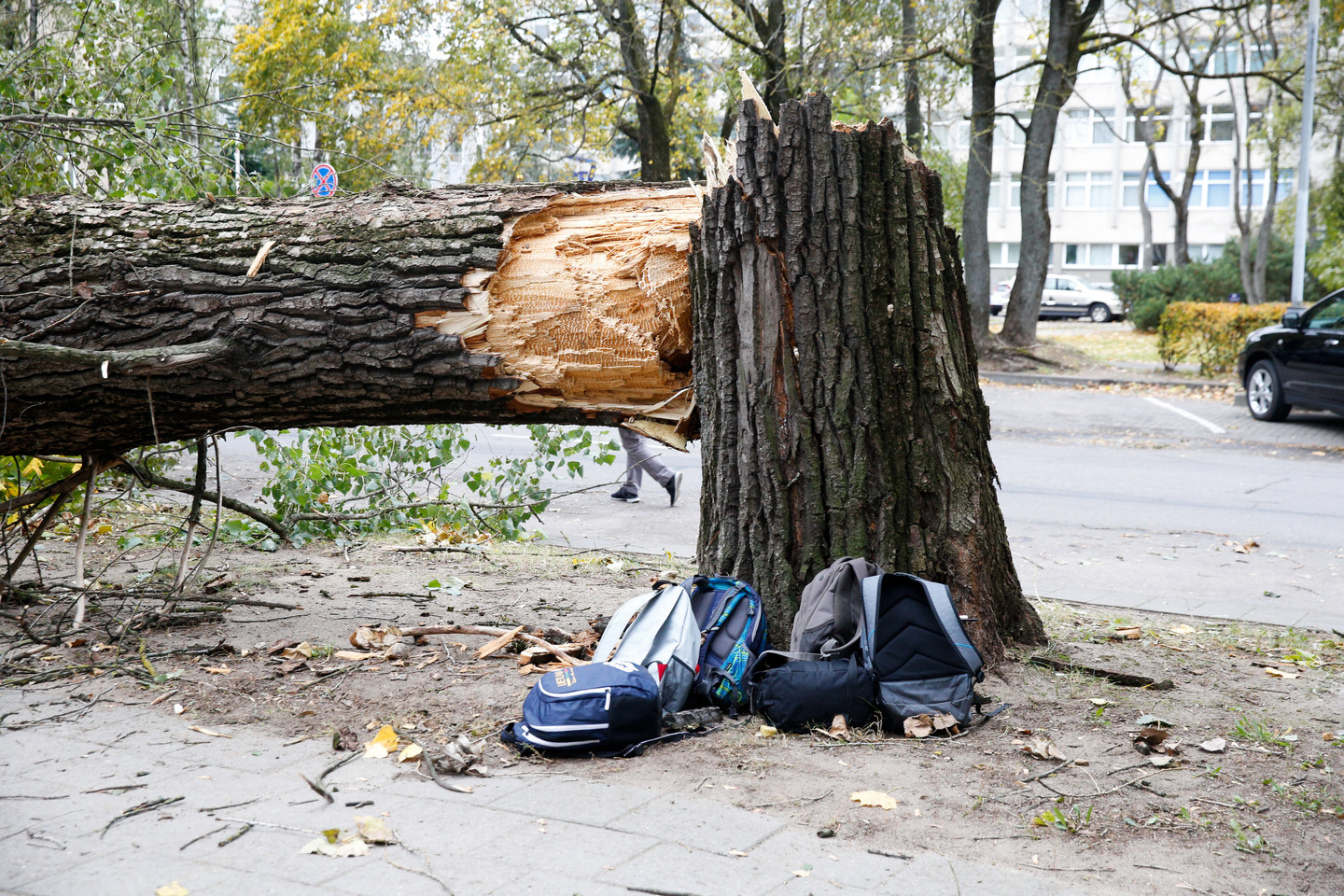 Savaitgalį Lietuvoje orai bus permainingi, daug kur pūs labai stiprus vėjas.<br>T. Bauro nuotr.