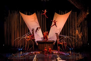 „Cirque du Soleil“ spektakliai sužavėjo garsias Lietuvos moteris