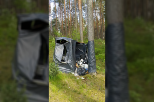 Radinys prie ežero porelei vos nesukėlė infarkto