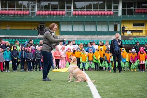 Futbolą stadione žaidusiems vaikams – keturkojų staigmena
