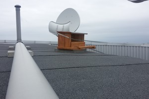 Ant verslo centro iškelti inkilai pelėsakaliams