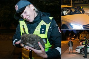 Reido metu pareigūnai ne tik drausmino vairuotojus, bet ir gelbėjo išsigandusį gyvūną