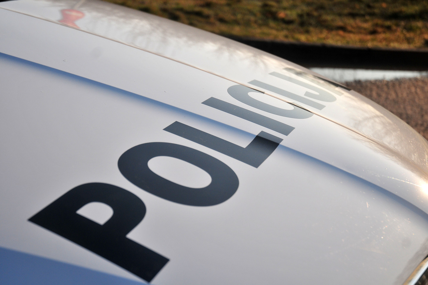 Policija ieško Raseinių rajone pensininką apiplėšusių nusikaltėlių.