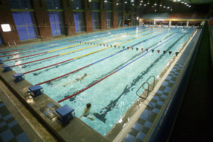 Lazdynų baseiną sostinėje nuo žemės nušluos liepą, o naujo dar teks palaukti    