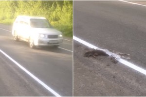 Žiaurumas ar abejingas poelgis? Rusijos kelininkų darbas šokiruoja