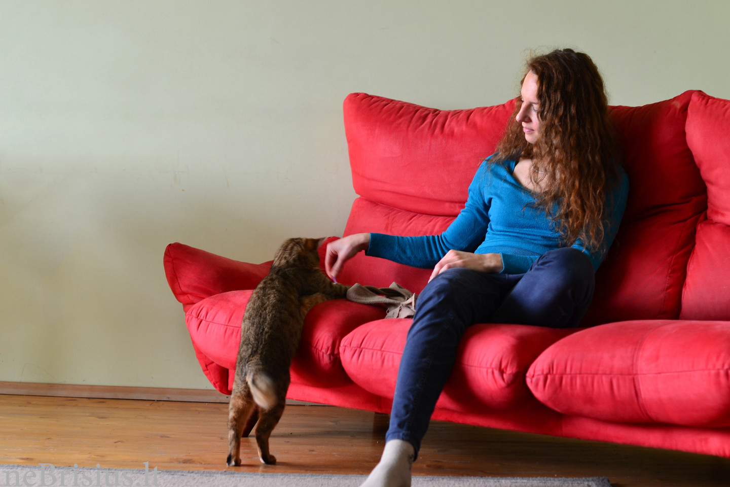 Meilė iš pirmo žvilgsnio – ne kitaip! Visos dvejonės, ar tinkamai gebėsiu pasirūpinti mažu padarėliu, kaipmat dingo. Iki šiol turiu skelbimą, kuriame pamačiau savo būsimą kambario draugą.