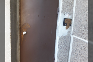 Keturkojų šeimininkams kaimynai atkeršijo pačiu bjauriausiu būdu