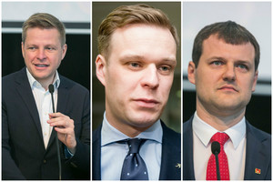 Įvertino Gabrielių Landsbergį, Remigijų Šimašių ir Gintautą Palucką: kuris taps tikru partijos vadovu