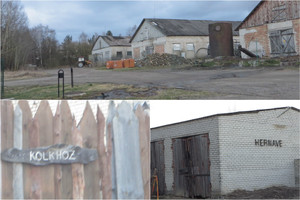 Apsilankė Kernavėje ir nuo pamatytų vaizdų pasidarė gėda prieš užsieniečius