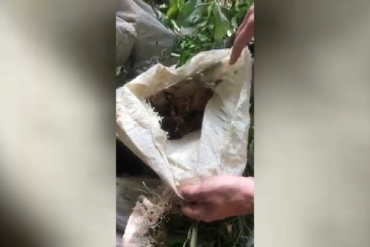 Vilniaus senamiestyje rasti devyni maišai žmonių kaulų