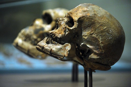 Sensacinga žinia: atrastos seniausios Homo sapiens fosilijos