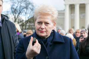 D.Grybauskaitė tikisi perversmo vaistų rinkoje, A.Veryga jaučiasi įvertintas