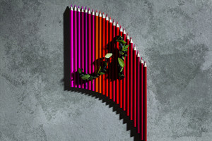 Netikėta maisto fotosesija: skonių spalvos